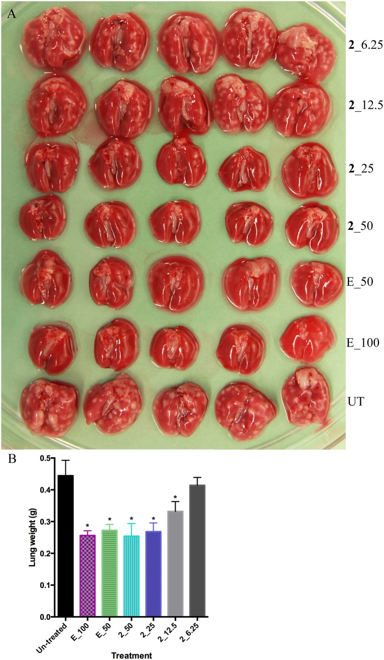 FIG 3