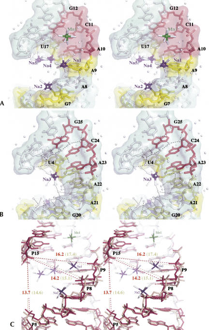 FIGURE 4.