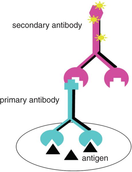 Figure 2.12.1