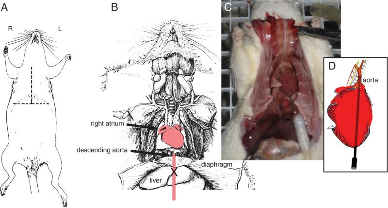 Figure 2.12.7