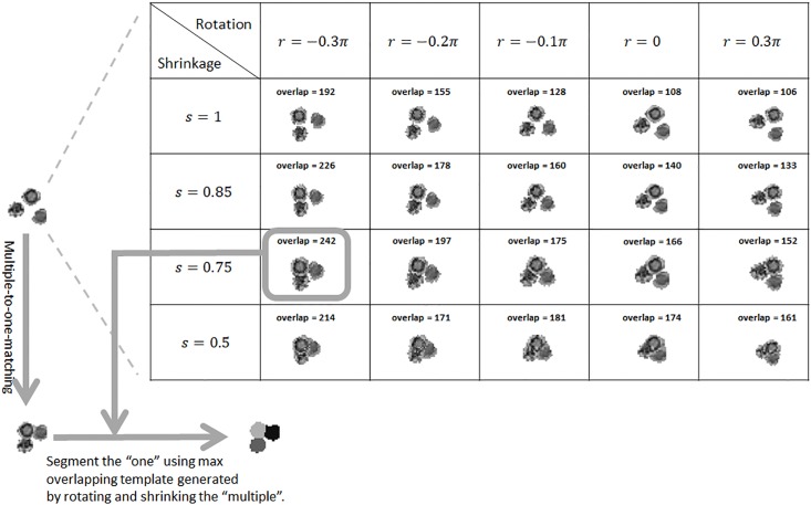 Fig 5