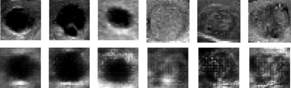 Fig. 5