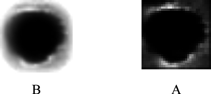 Fig. 19