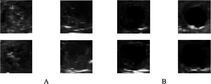 Fig. 13