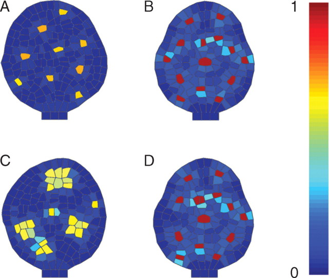 Fig. 6.