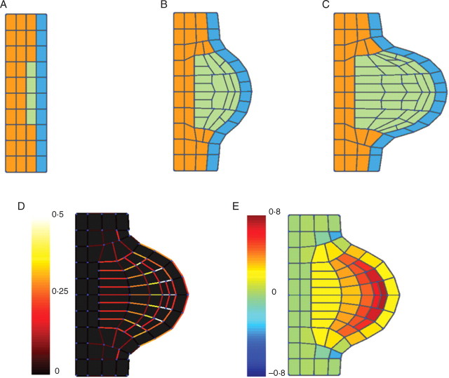 Fig. 9.