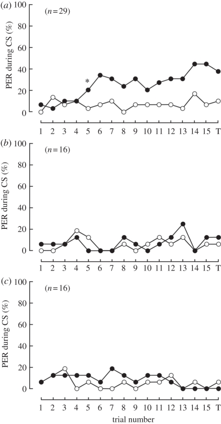 Figure 3.