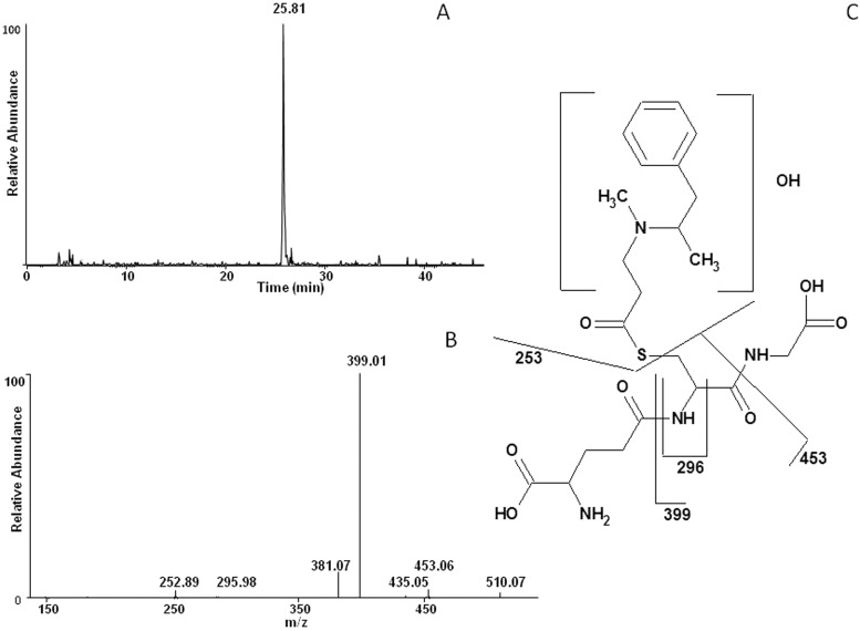 Fig. 6.