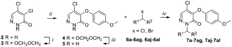 Scheme 1