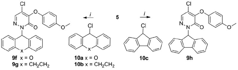 Scheme 4