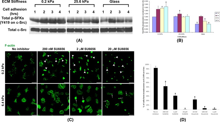 FIGURE 6: