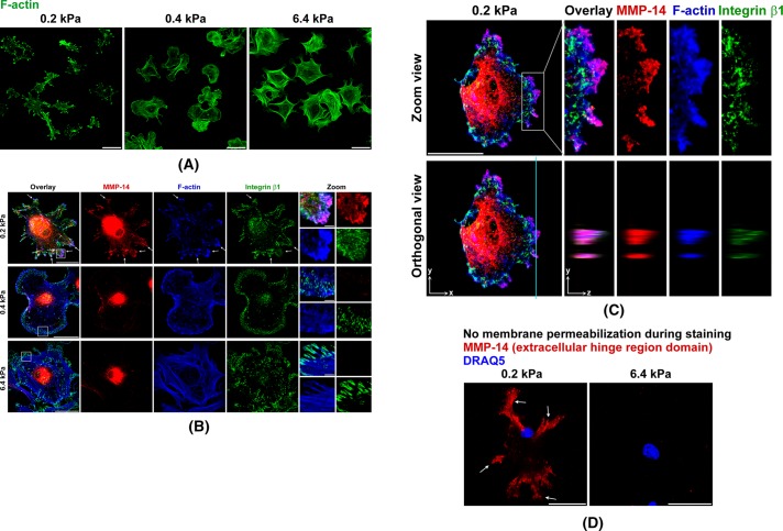 FIGURE 4: