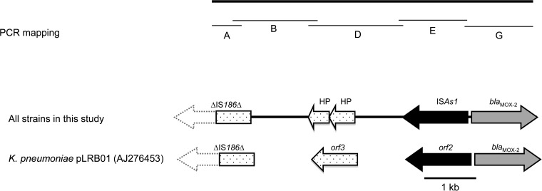 FIG 2