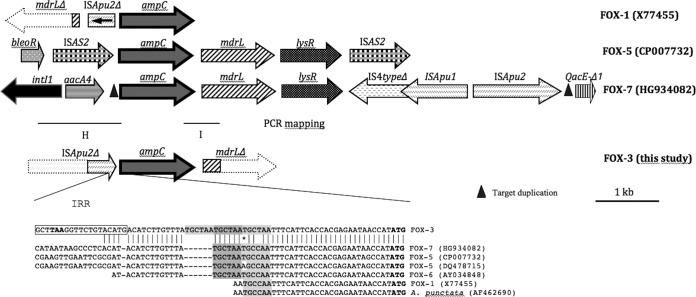 FIG 3