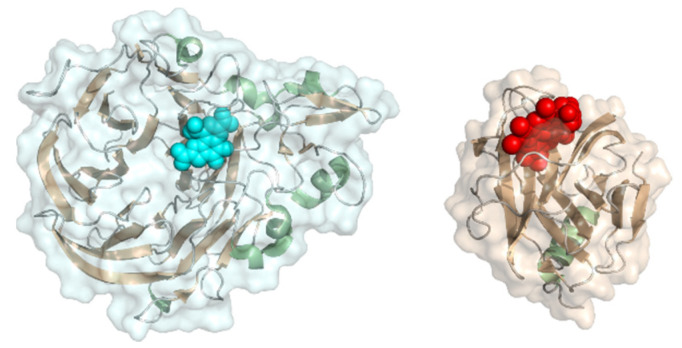 Figure 14