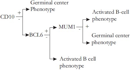 graphic file with name IJMPO-31-145-g001.jpg