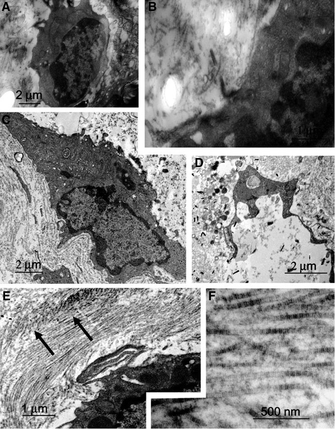 FIG. 7.