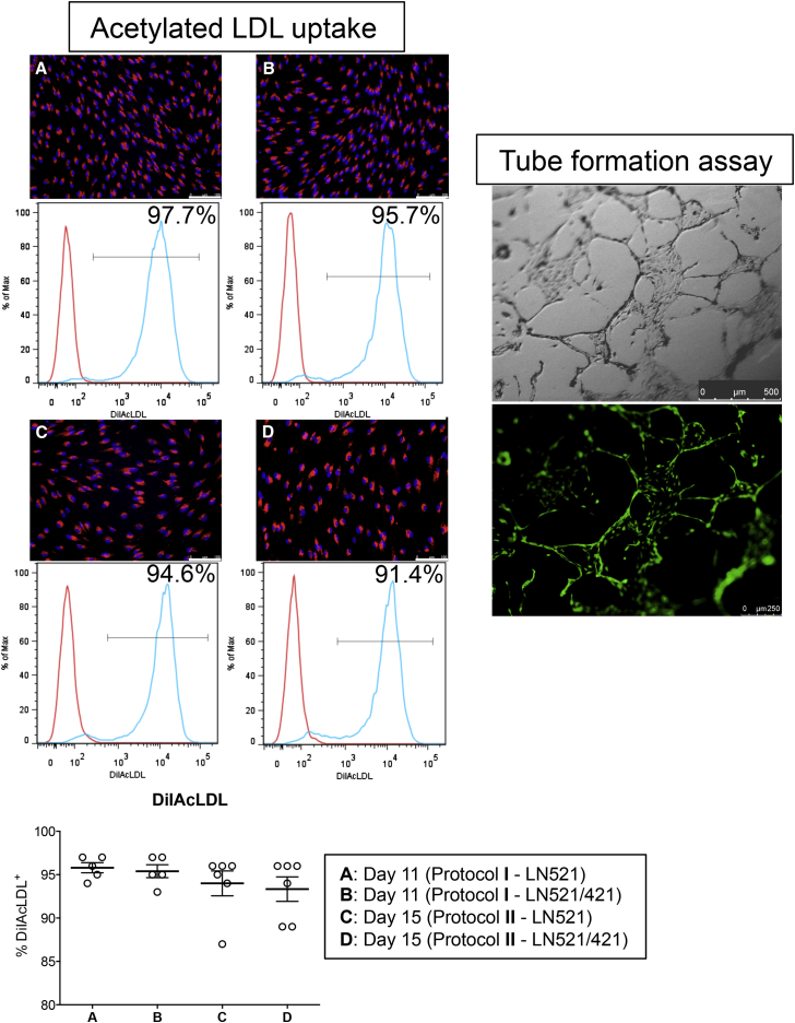 Figure 5