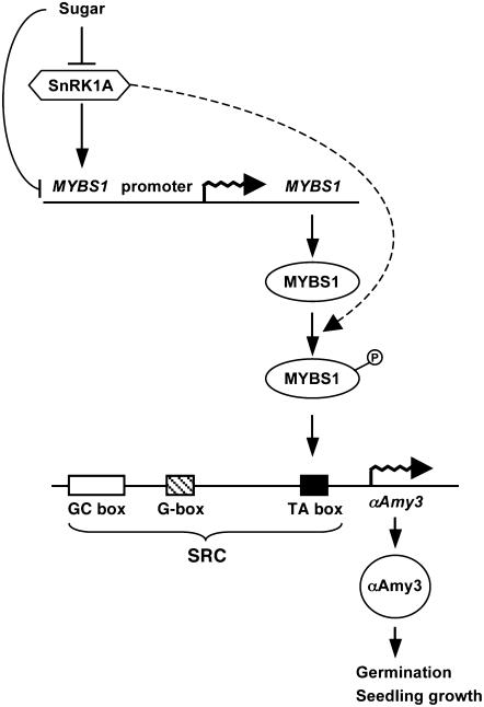 Figure 12.