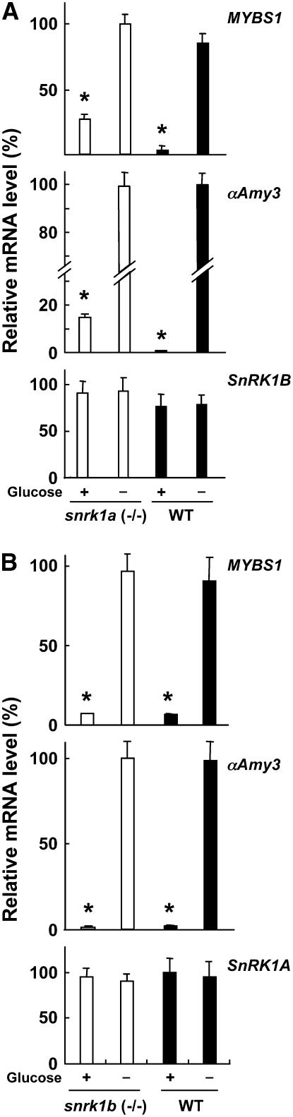 Figure 10.