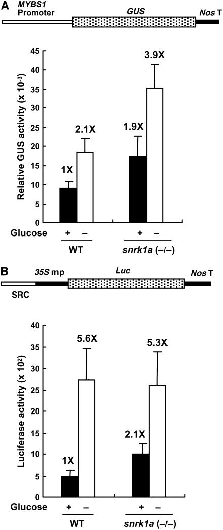 Figure 9.