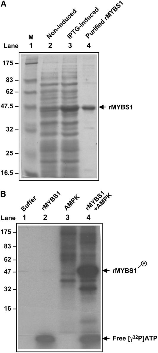 Figure 7.