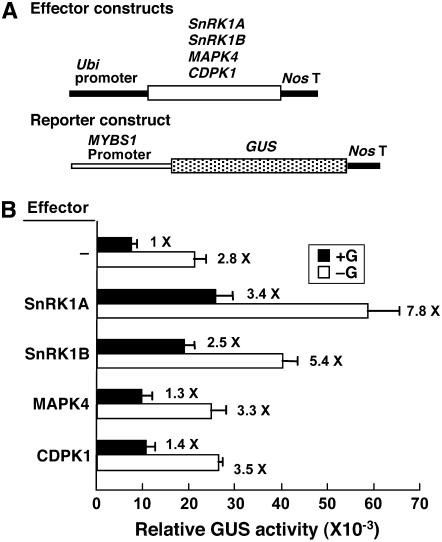 Figure 6.