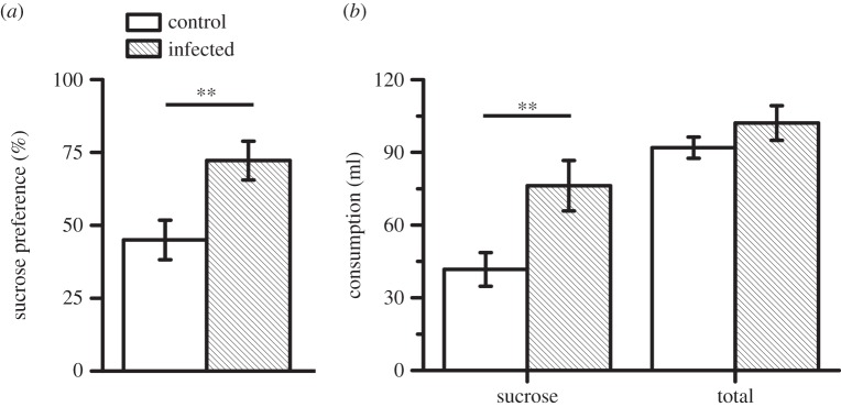 Figure 3.