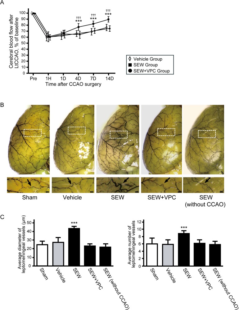 Fig 5