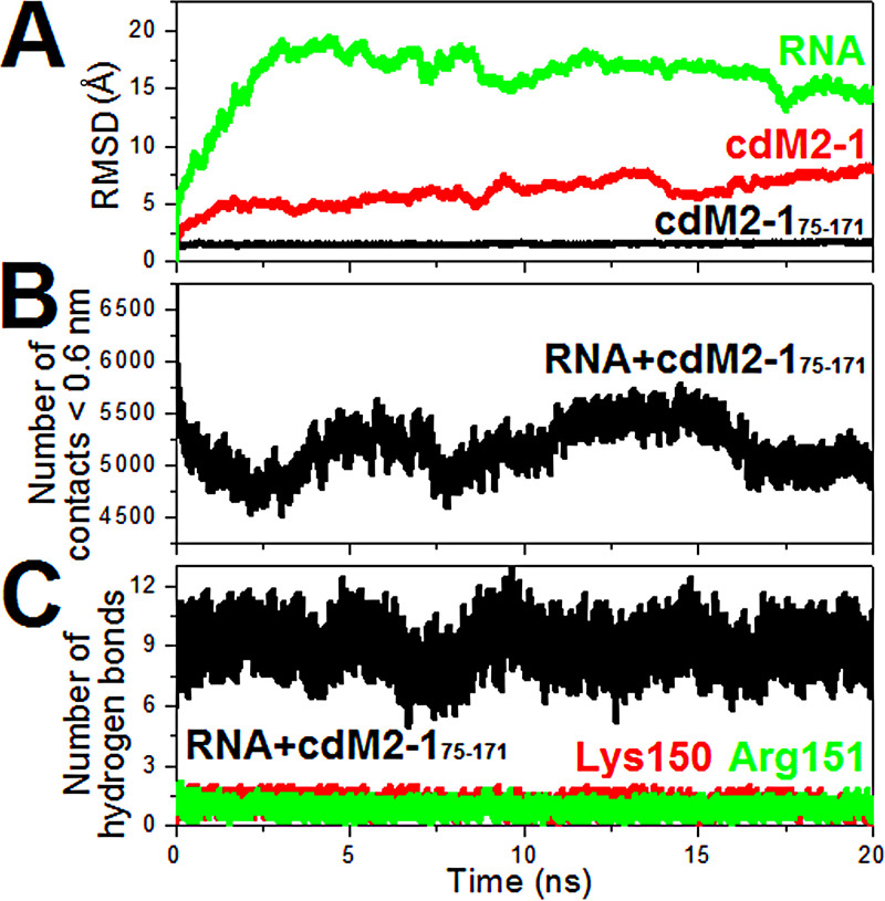 FIG 10