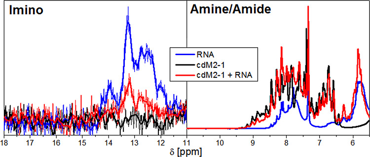 FIG 6