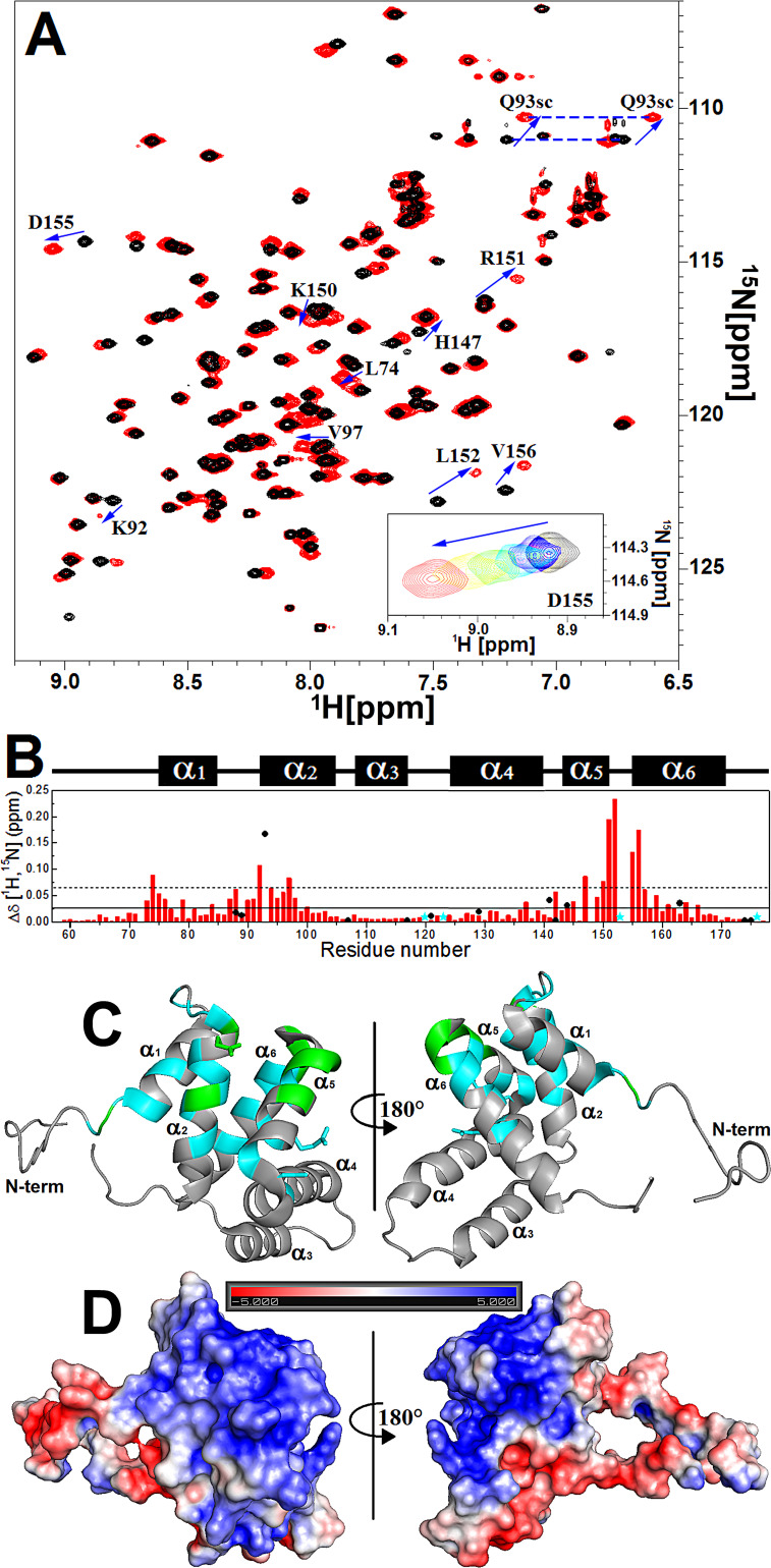 FIG 3