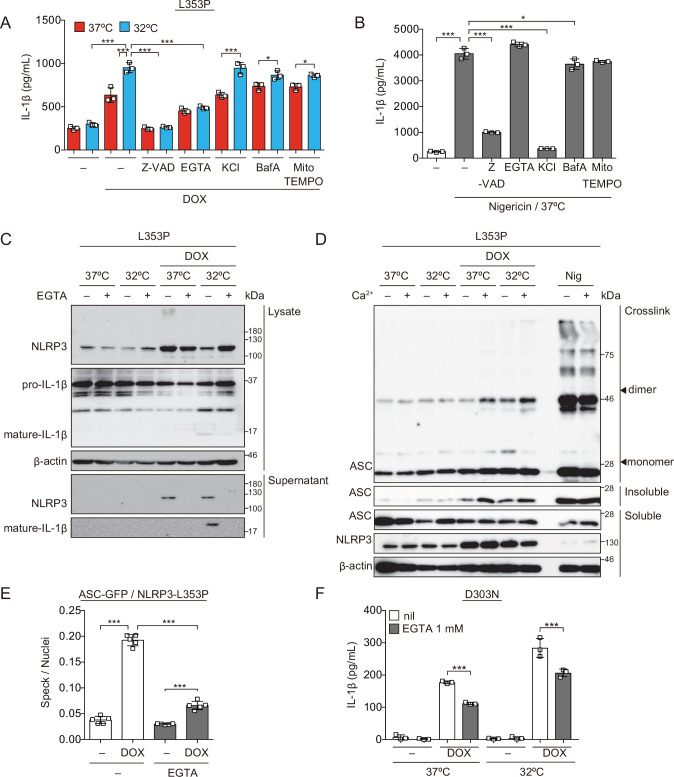 Figure 5—figure supplement 1.