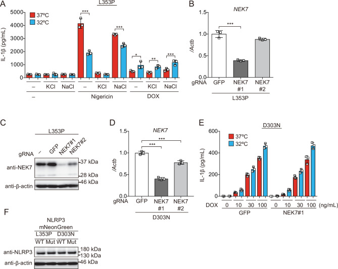 Figure 4—figure supplement 1.