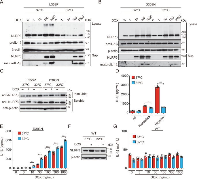 Figure 3—figure supplement 1.