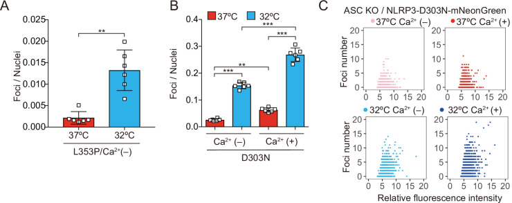 Figure 5—figure supplement 2.