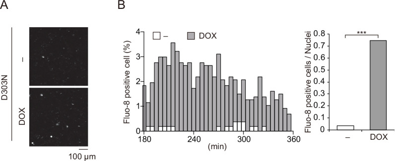 Figure 6—figure supplement 1.