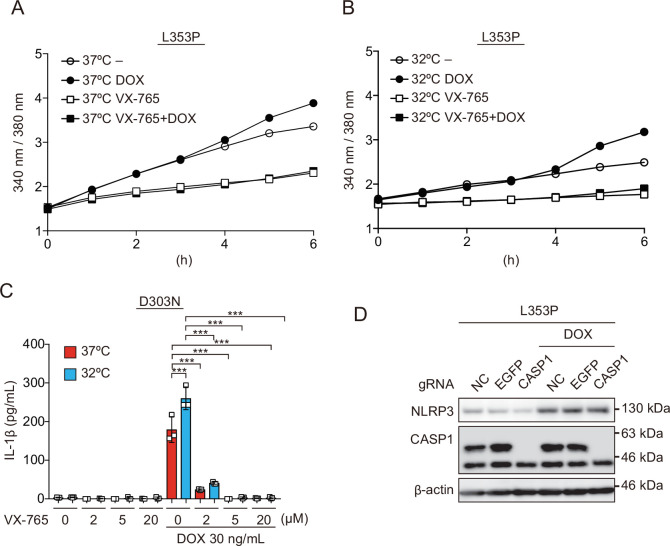 Figure 7—figure supplement 1.