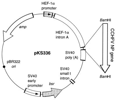 FIG. 1.