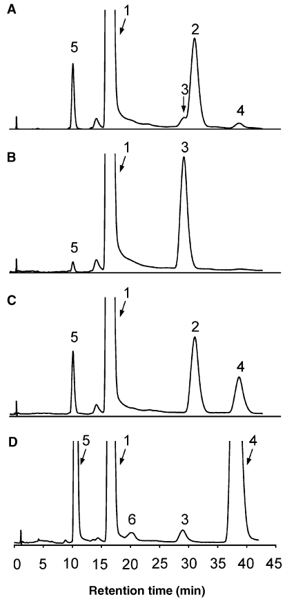 Figure 5.