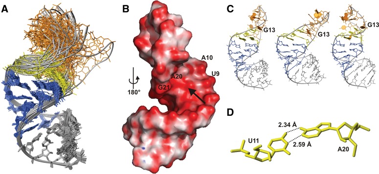 FIGURE 3.