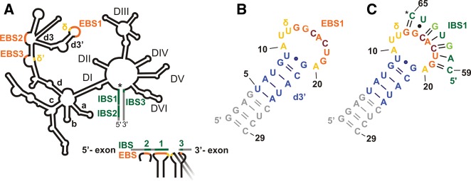 FIGURE 1.