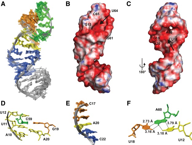 FIGURE 6.