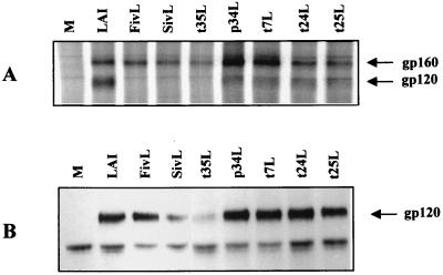 FIG. 5