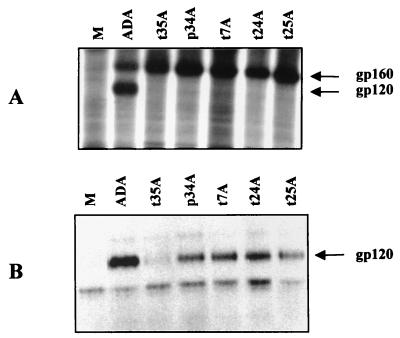 FIG. 4