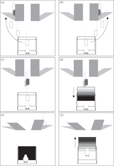 Figure 2.