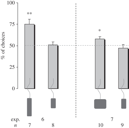 Figure 5.