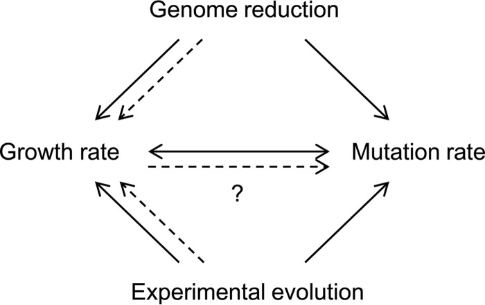 FIG 6 