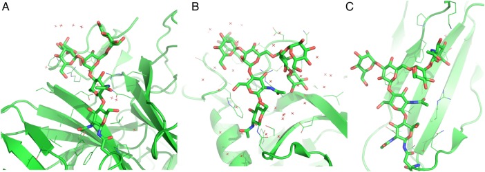 Fig. 5.