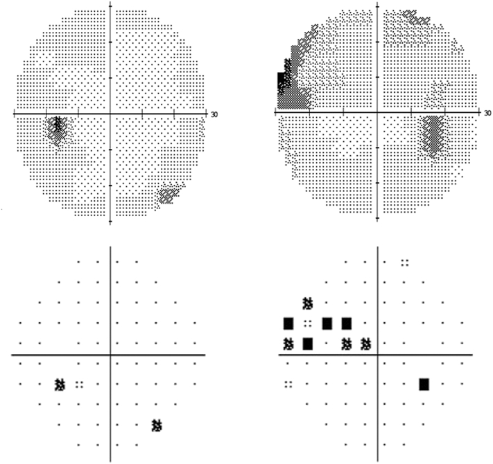 Fig. 1